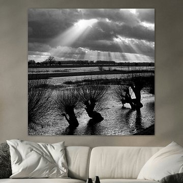 Lek, water & licht 4