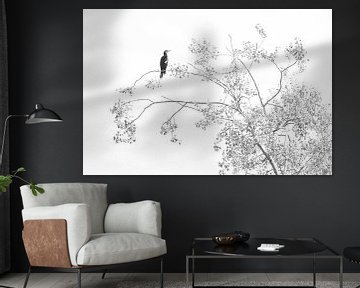 Oiseau en version noir et blanc. sur Francis Dost