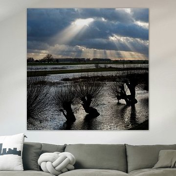 Lek, water & licht 5