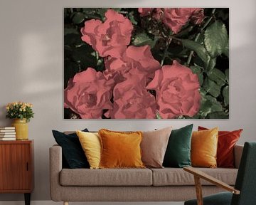 Roze rozen van Marleen De Wandeleer