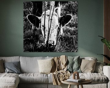 Zwart-wit portret van een koe / kalf dat graast aan de oever van een sloot van Hans Post