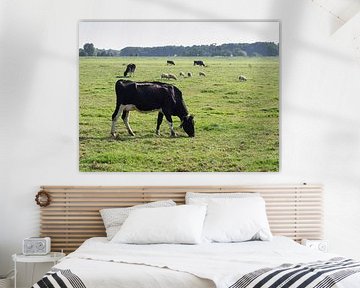 Kleurenfoto van een typisch Hollands landschap met koeien en schapen van Hans Post