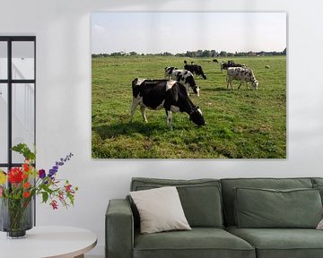 Farbfoto einer typischen holländischen Landschaft mit Kühen und Schafen von Hans Post