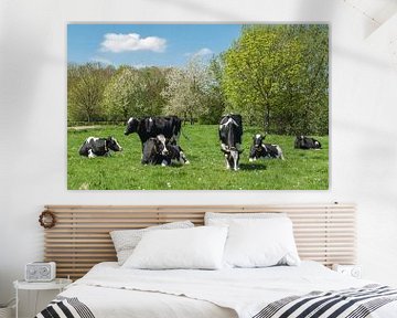 Voorjaars moeheid, koeien in het weiland van Leo Langen