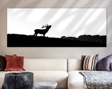 Red deer in silhouette (buck) by Sjoerd de Hoop