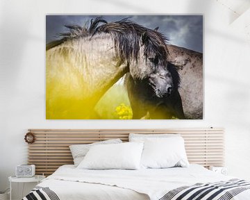 Wild koniks horse by Sharon Zwart