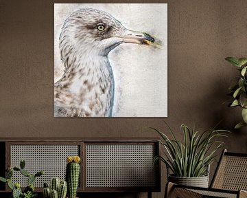 Herring gull in 2nd summer plumage by Art by Jeronimo