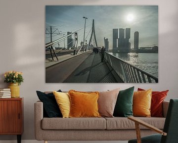 Erasmusbrug, Rotterdam van Daan Overkleeft