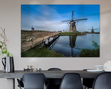 Windmill Nederwaard No. 5, Kinderdijk by Pieter van Roijen