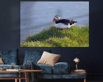 IJsland, Puffin by Yvonne Balvers