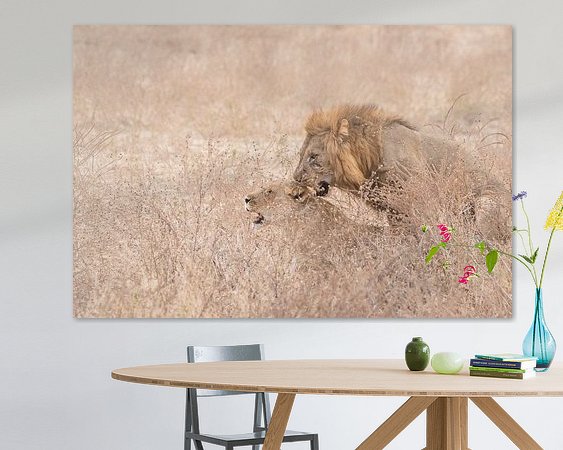 Aperçu de la chambre