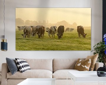 Koeien in de wei tijdens een mistige zonsopkomst van Sjoerd van der Wal Fotografie