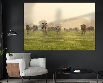 Cows in a meadow during a misty sunrise by Sjoerd van der Wal