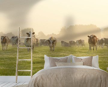 Koeien in de wei tijdens een mistige zonsopkomst van Sjoerd van der Wal Fotografie