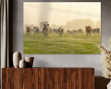Kühe auf einer Wiese bei einem nebligen Sonnenaufgang von Sjoerd van der Wal