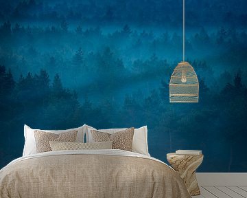 Forest by Stijn Smits