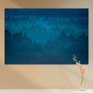 Wald von Stijn Smits