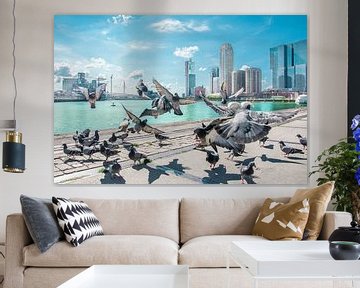 The birds Rotterdam by Niels Hemmeryckx