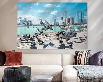 De vogels Rotterdam von Niels Hemmeryckx
