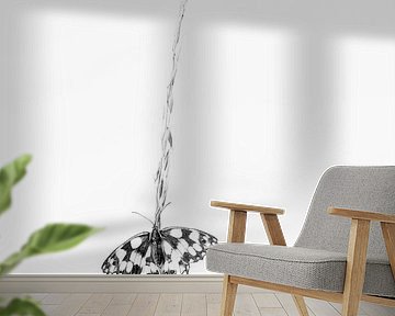 Checkerboard in black and white by Judith Borremans Natuurfotografie