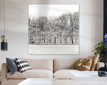 Winter forest by Ada Zyborowicz