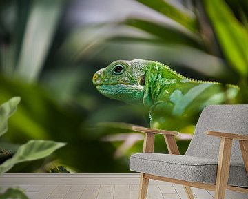 Groen Reptiel in Bali van Giovanni della Primavera