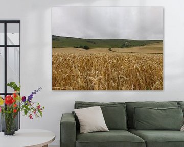 Een korenveld bij de long men van Veluws