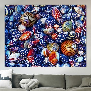 Snail-City (Shells and snail shells)