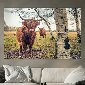 Les Scottish Highlanders sur le Jiltdijksheide (Westerkwartier)