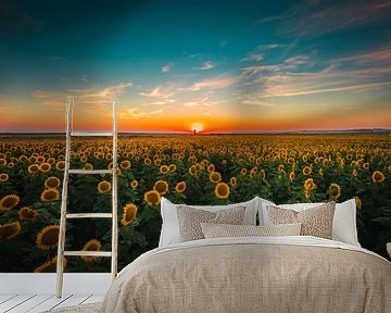 Sunflowers at sunset van Andy Troy