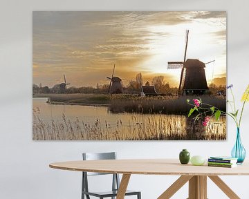 Trois moulins à vent sur le Hoornse Vaart à Alkmaar
