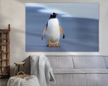 Just a penguin van Claudia van Zanten