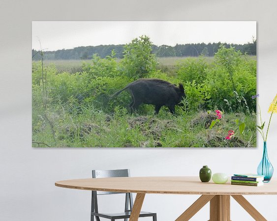 Aperçu de la chambre