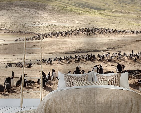 Aperçu de la chambre