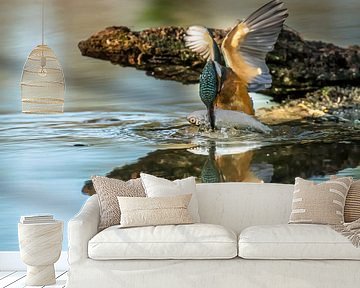 Kingfisher reflection by Linda Raaphorst