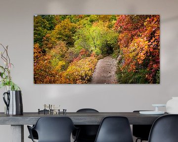 Fußweg durch den herbstlichen Wald, Kroatien