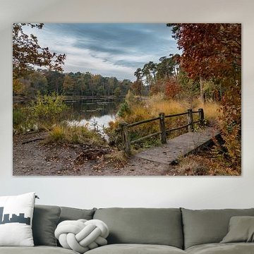 Witven bij Oisterwijk in Lentetooi