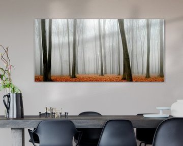 Vue dans une forêt de hêtres pendant un matin brumeux sur Sjoerd van der Wal Photographie