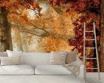 Wonder Curve II by Lars van de Goor