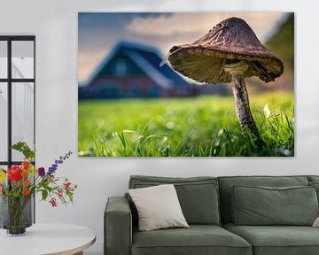 03 mushroom robbers' hut Texel