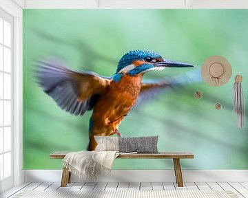 Kingfisher by Linda Raaphorst