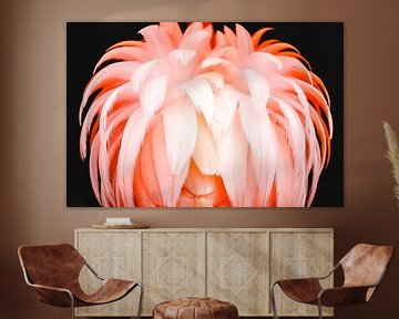Flamingo von Steven Hendrix