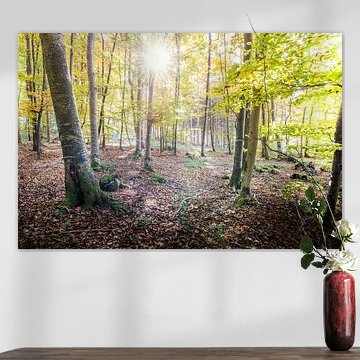 Ein magischer Moment von Hannes Cmarits