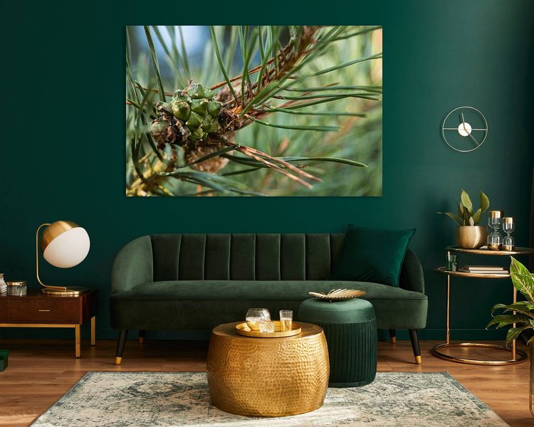 Aperçu de la chambre