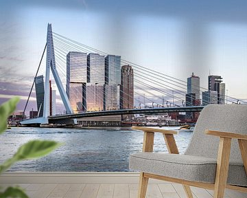 Erasmusbrug Rotterdam  van Midi010 Fotografie