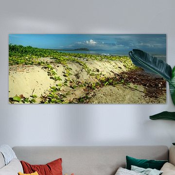 4 Mile Beach, Port Douglas; Far North Queensland - Australia