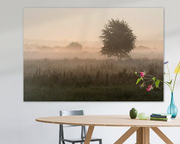 Brume du matin sur Ronald Wilfred Jansen