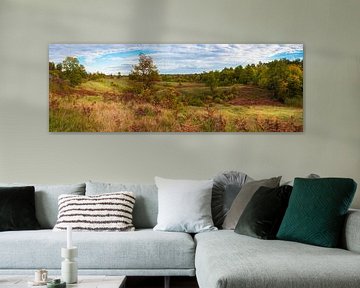 Grassland in autumn, Croatia by Rietje Bulthuis