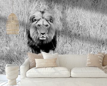 The Boss by Claudia van Zanten