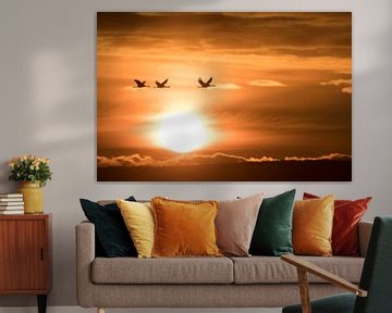 Vliegende kraanvogels tijdens zonsopkomst